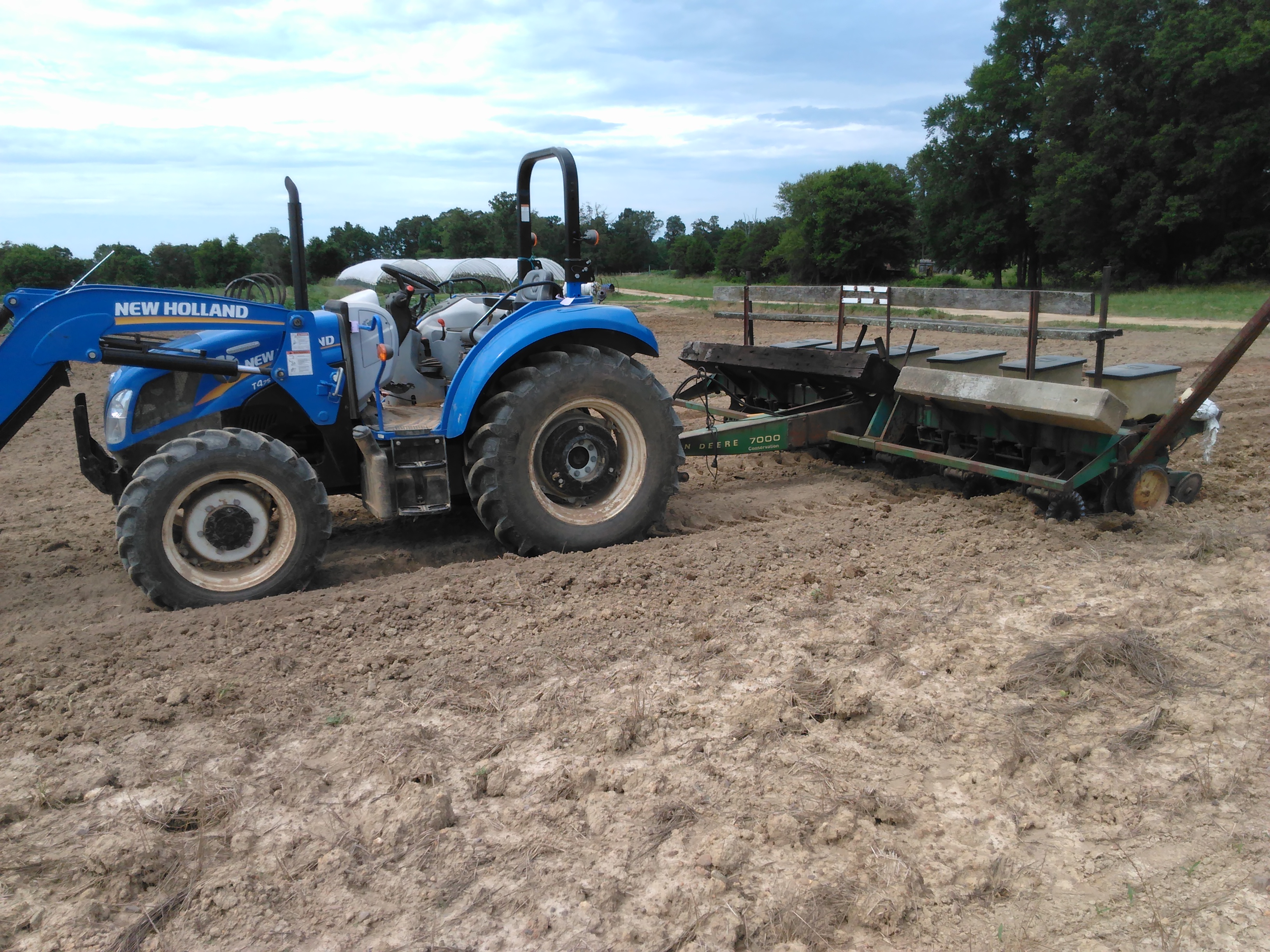 Last patch of Sweet Corn is in the ground Last patch of Sweet Corn is in the ground