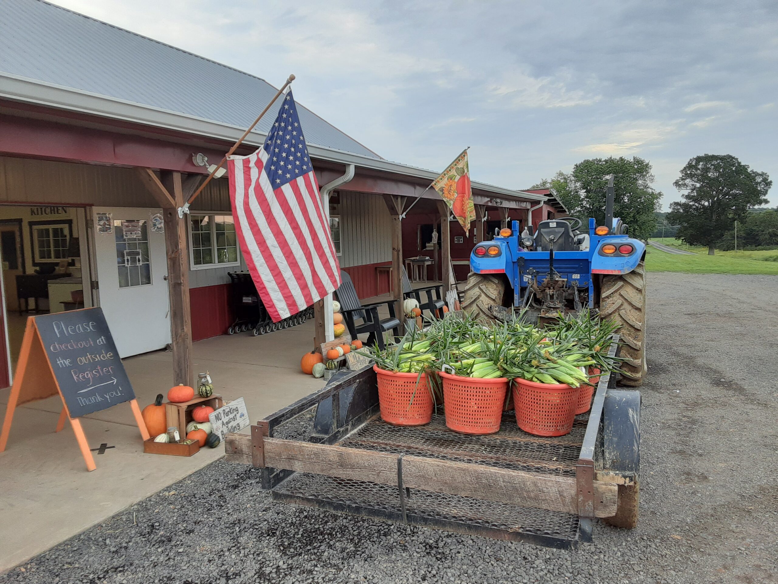Yes, we still have “Kate” bicolor Sweet Corn! Picking fresh every day! Yes, we still have “Kate” bicolor Sweet Corn! Picking fresh every day!