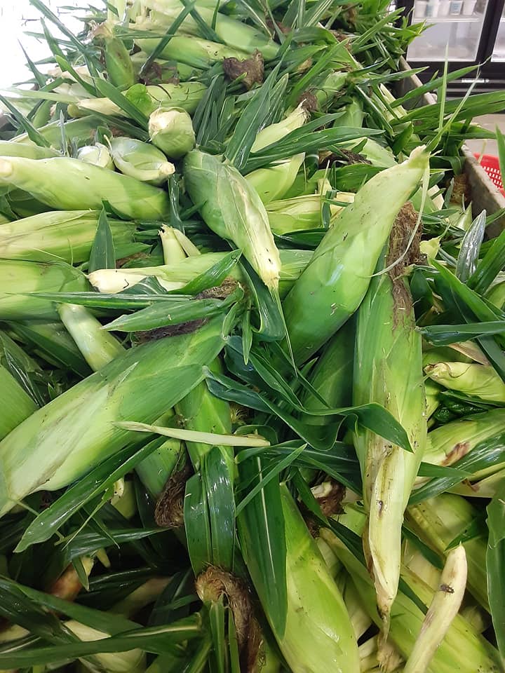 Sweet Corn Update: Yes we have corn for today, but it will be about 1 week until we pick more. Sweet Corn Update: Yes we have corn for today, but it will be about 1 week until we pick more.